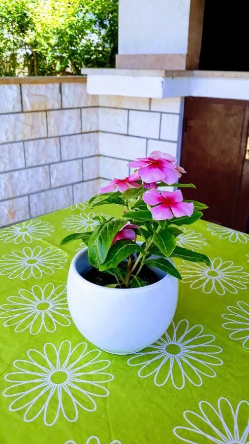 Apartment Ivo تروغير المظهر الخارجي الصورة